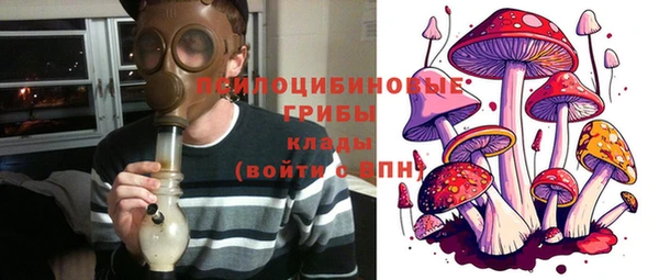 прущий лед Арсеньев